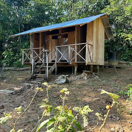 Cabanas Eco Logicas Mu'Ue Loreto Mocagua Room photo