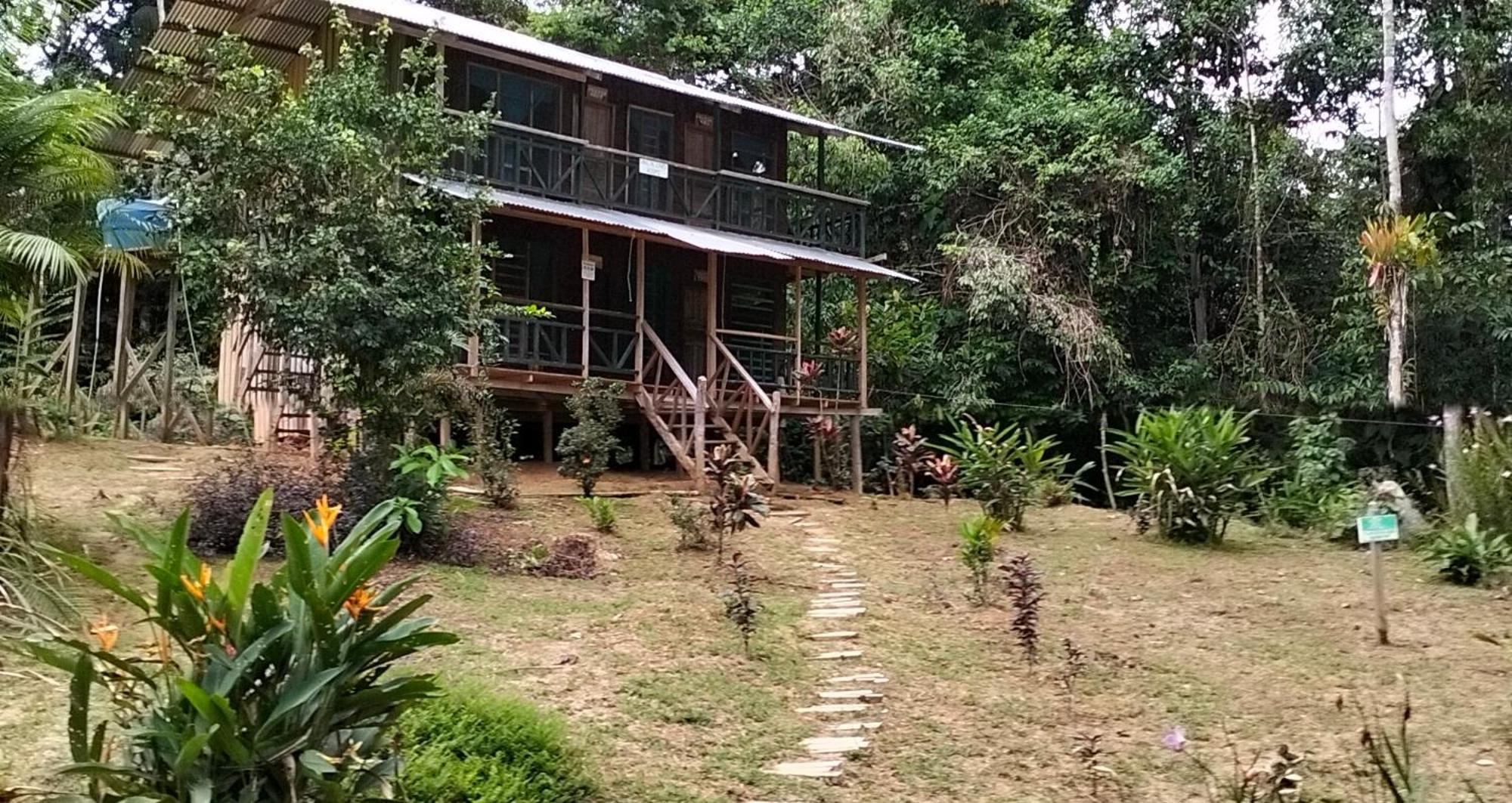 Eco Logicas Mu'ue Loreto Mocagua